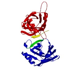 Image of CATH 4z8m