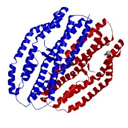 Image of CATH 4z8n