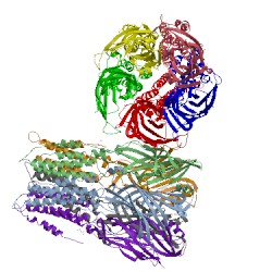 Image of CATH 4z90