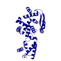 Image of CATH 4z9p