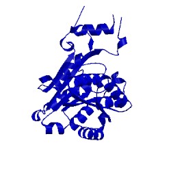 Image of CATH 4z9x