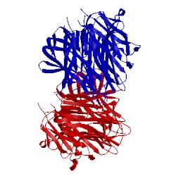 Image of CATH 4zch