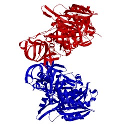 Image of CATH 4zci