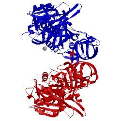 Image of CATH 4zcl