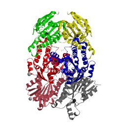 Image of CATH 4zd6