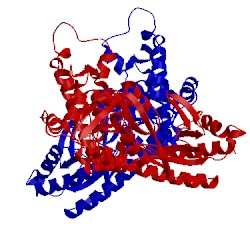 Image of CATH 4zdl