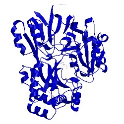 Image of CATH 4zei