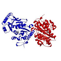 Image of CATH 4zew