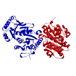 Image of CATH 4zex