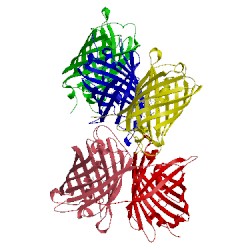 Image of CATH 4zfs