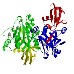 Image of CATH 4zft