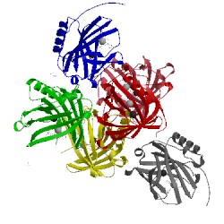 Image of CATH 4zhg
