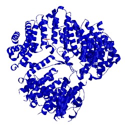 Image of CATH 4zj7