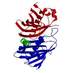 Image of CATH 4zjb
