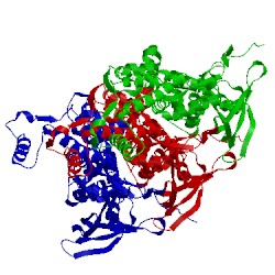 Image of CATH 4zjn