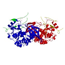Image of CATH 4zjv