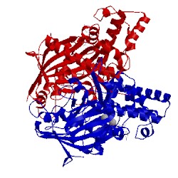 Image of CATH 4zlu