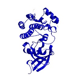 Image of CATH 4zly