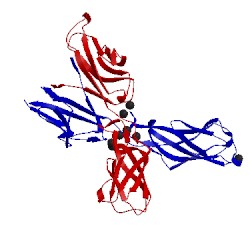 Image of CATH 4zmq
