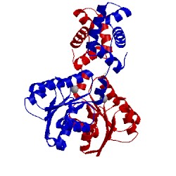 Image of CATH 4zms