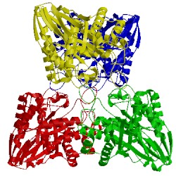 Image of CATH 4zn2
