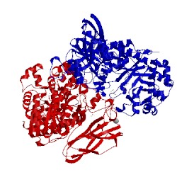 Image of CATH 4zob