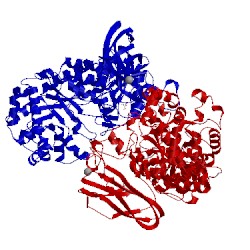 Image of CATH 4zoc