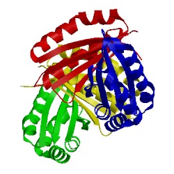 Image of CATH 4zos