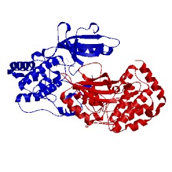 Image of CATH 4zp5