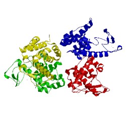 Image of CATH 4zpu