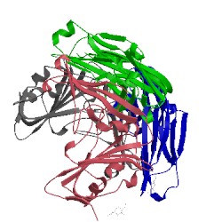 Image of CATH 4zpv
