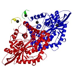 Image of CATH 4zrp