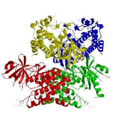 Image of CATH 4ztl