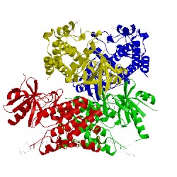 Image of CATH 4ztm