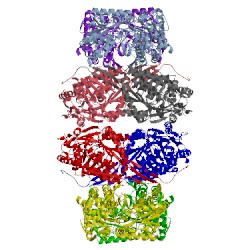 Image of CATH 4zuk