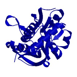 Image of CATH 4zv2