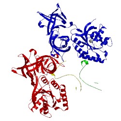 Image of CATH 4zv4