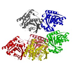 Image of CATH 4zv9