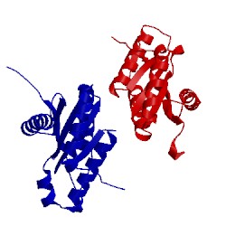 Image of CATH 4zvg