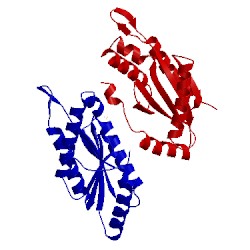 Image of CATH 4zvh