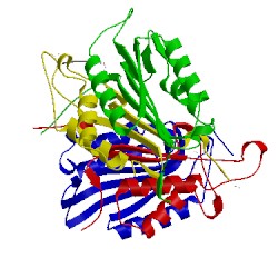 Image of CATH 4zvt