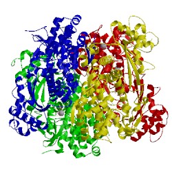 Image of CATH 4zwe