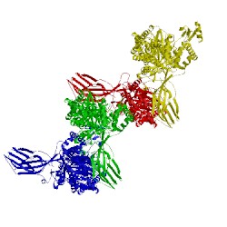 Image of CATH 4zwj