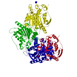 Image of CATH 4zwn
