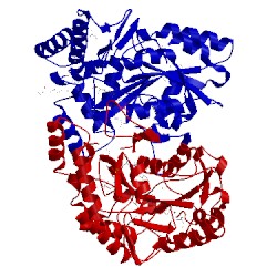 Image of CATH 4zwv