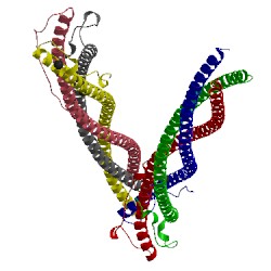 Image of CATH 4zxq