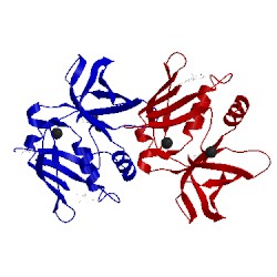 Image of CATH 4zys
