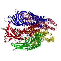 Image of CATH 4zzb