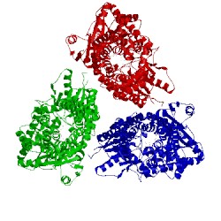 Image of CATH 5a01