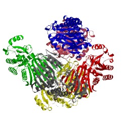 Image of CATH 5a04